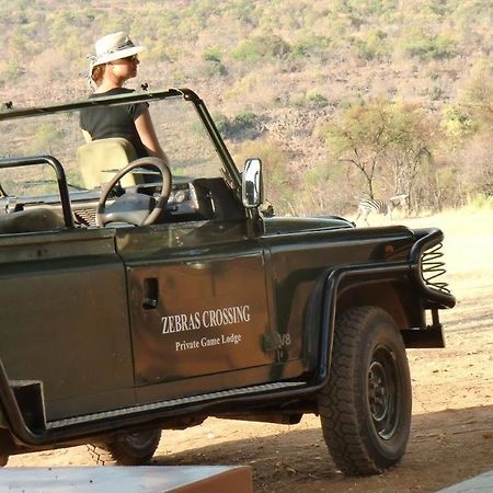 Zebras Crossing Private Game Lodge Modimolle Extérieur photo
