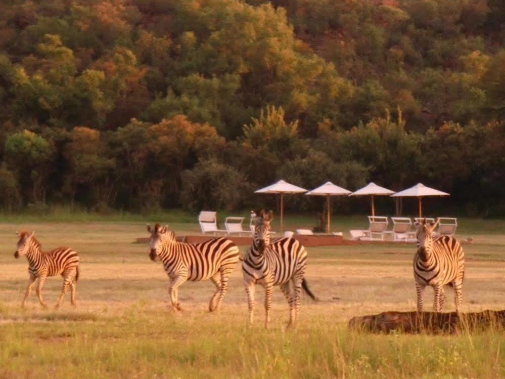 Zebras Crossing Private Game Lodge Modimolle Extérieur photo