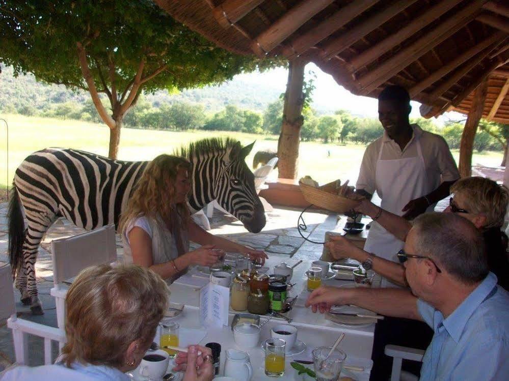 Zebras Crossing Private Game Lodge Modimolle Extérieur photo
