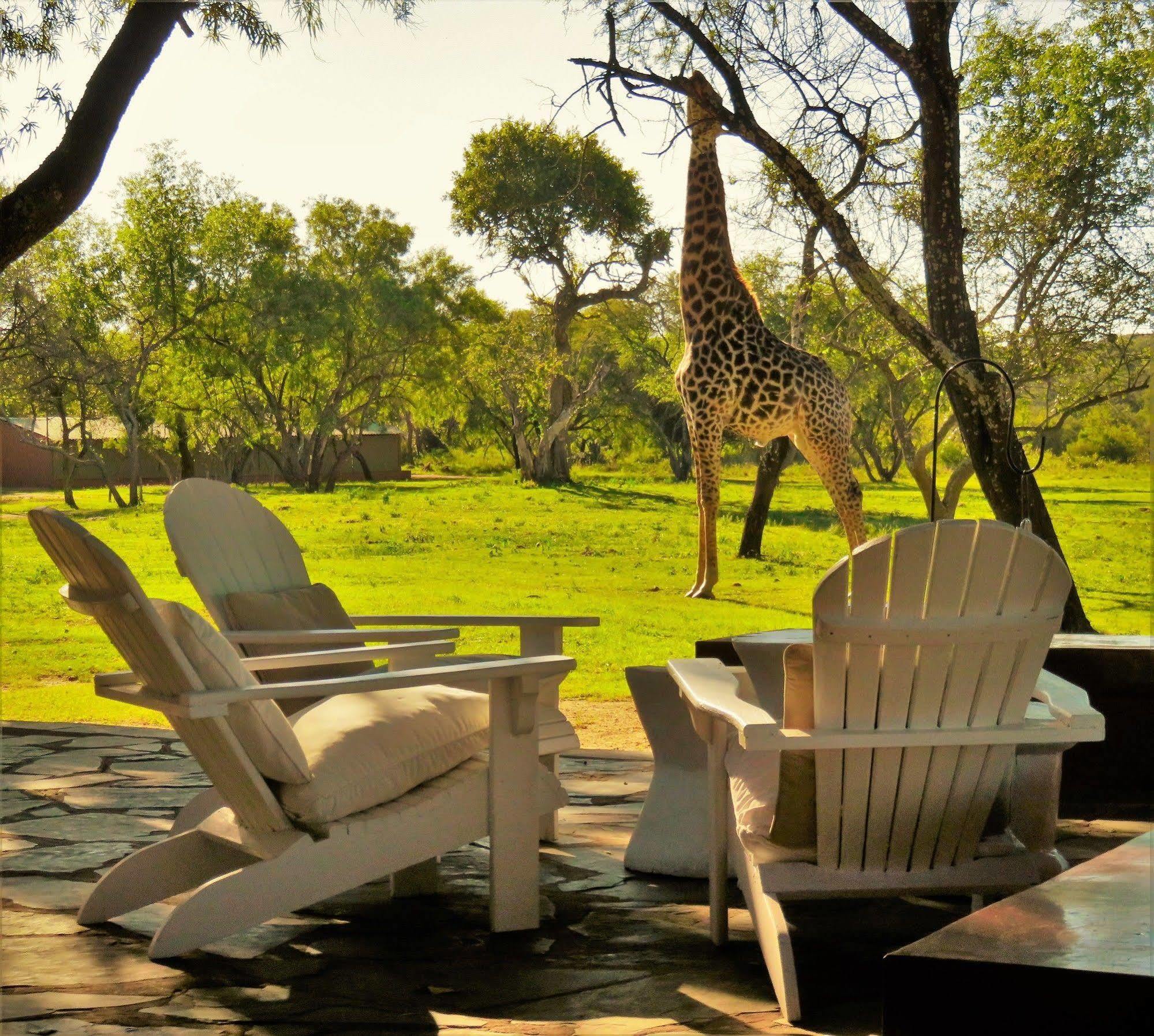 Zebras Crossing Private Game Lodge Modimolle Extérieur photo